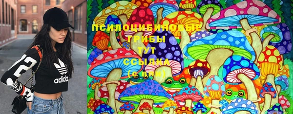 спайс Аркадак